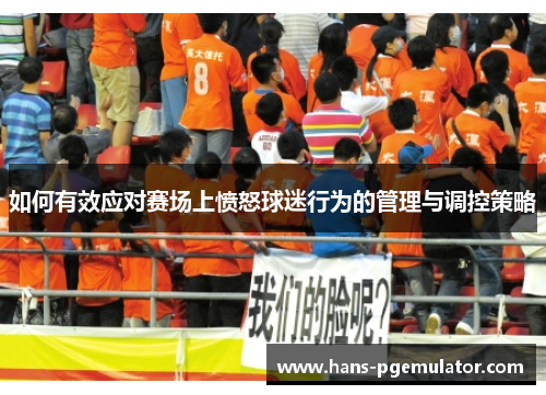 如何有效应对赛场上愤怒球迷行为的管理与调控策略