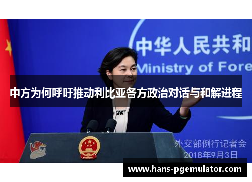 中方为何呼吁推动利比亚各方政治对话与和解进程