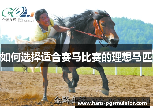 如何选择适合赛马比赛的理想马匹