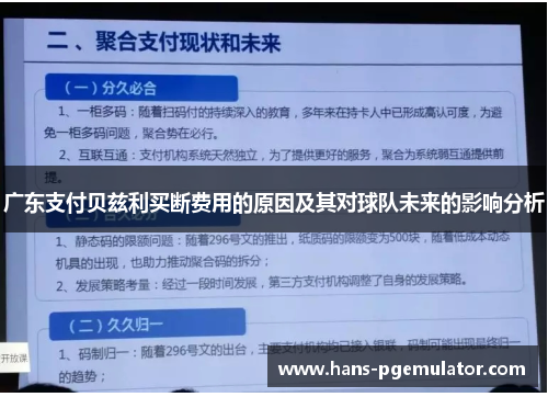 广东支付贝兹利买断费用的原因及其对球队未来的影响分析