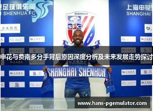 申花与费南多分手背后原因深度分析及未来发展走势探讨