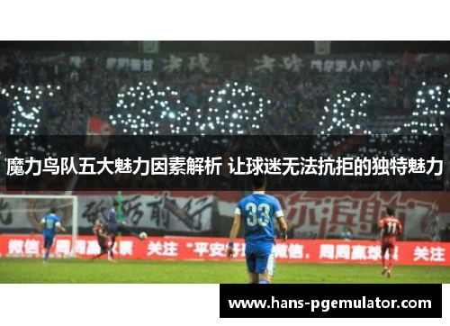 魔力鸟队五大魅力因素解析 让球迷无法抗拒的独特魅力