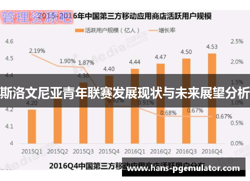 斯洛文尼亚青年联赛发展现状与未来展望分析 斯洛文尼亚青年联赛发展现状与未来展望分析