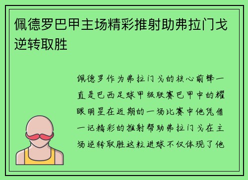 佩德罗巴甲主场精彩推射助弗拉门戈逆转取胜 佩德罗巴甲主场精彩推射助弗拉门戈逆转取胜
